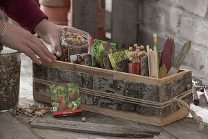 Wooden box with bark cladding as a storage box for seeds