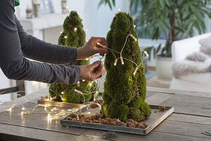 Moss cone stuck as a table decoration