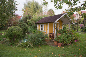 Gartenhaus mit Geranien in Töpfen und Buchs im Beet