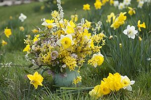 Gelber Frühlingsstrauss mit Narzissen und Goldgloeckchen