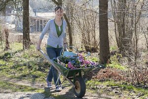 Frau mit Schubkarre voller Frühlingsblumen zum Einpflanzen