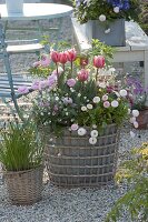 Basket with metal insert planted with spring flowering plants