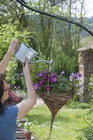 Self made hanging basket made of willow with herbs and edible flowers