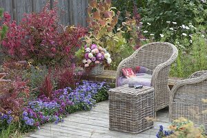 Herbstliches Terrassenbeet in blau und rot