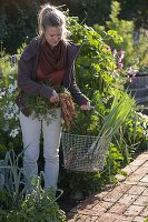 Vegetable harvest in organic garden