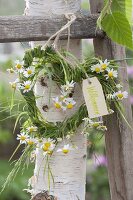 Maiengrün-Herz wound from grass, decorated with chamomile flowers