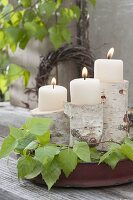 Maiengruen : Stamm-Stücke von Betula (Birke) als Kerzenhalter