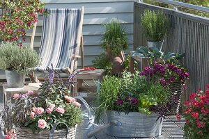 Zinc sink with herbs and salad