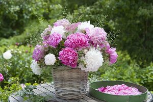 Pink-weisser Strauss aus Paeonia (Pfingstrosen) und Gräsern in Korb-Vase