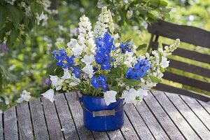 Blue-white bouquet of Lupinus 'Miss', Delphinium