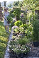 Creating a perennials and grasses bed