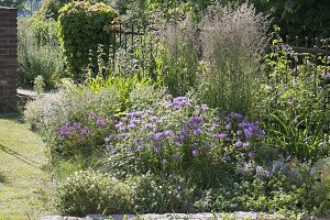 Creating a perennials and grasses bed