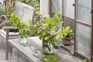 Carpinus and Malus twigs bouquet