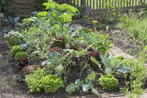 Huegelbeet im Gemüsegarten anlegen