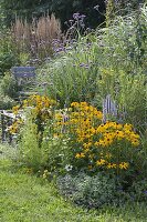 Blue-yellow late summer bed with perennials and grasses