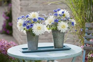 Small bouquets with Dahlia 'My Love', borage