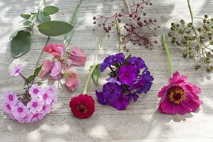 Ingredients tableau for fragrant late summer bouquet