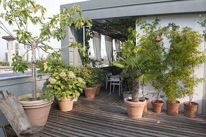 Mediterrane Dachterrasse mit Holzdeck