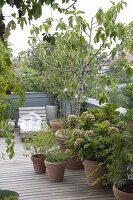 Mediterrane Dachterrasse mit Holzdeck