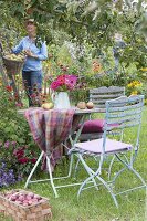 Apple harvest and seating place under apple tree