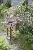 Kleiner Sitzplatz mit Korbsessel und Tisch am Beetrand, Anemone hupehensis