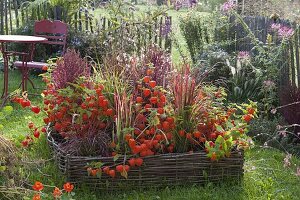 Indian summer bed with hazelrod surround