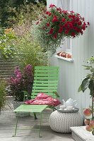 Hanging basket with Petunia 'Deep Red' and Helichrysum 'Silver Star'