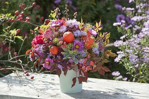 Herbststrauss 'Quer durch den Garten' : Aster (Herbstastern), Physalis