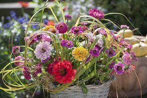 Rural bouquet of Zinnia (Zinnia) and grasses