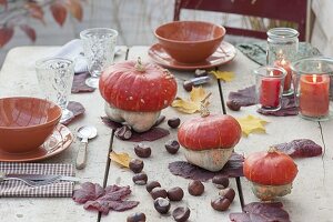 Autumn Table Decoration with Cucurbita (Turban Squash), Aesculus