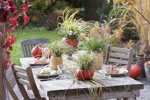 Herbstliche Kürbis-Tischdeko mit Gräsern