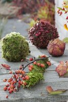 Floristische Dekorationen mit Fundstücken aus dem Herbstwald