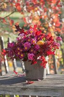 Autumn bouquet of chrysanthemum (autumn chrysanthemum), pink (rose)