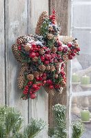 Star made from cones of Picea, Larix, Malus