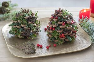 Cones of Pinus filled with red berries of Ilex