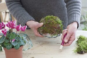 Make yourself a moss bowl