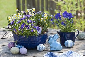 Blue, enameled Guglhupfform, baking dish and milk pot planted with Narcissus