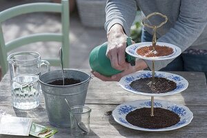 Keramiketagere mit Kresse und Sprossen als essbare Tischdeko