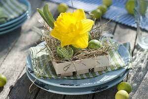 Easter table decoration with daffodils on the terrace