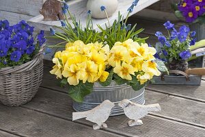 Osterterrasse mit selbstgebauter Blumentreppe