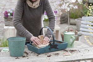 Put radishes in wooden basket