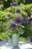 Unusual bouquet of Allium 'Purple Sensation'