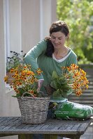 Plant basket with slipper flowers