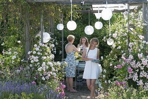 Pavillon mit Rosen und wildem Wein