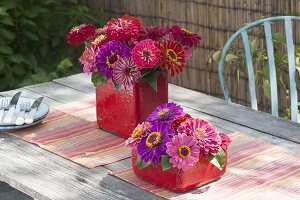 Zinnia in red, square ceramic vases