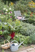 Seating in the late summer organic garden