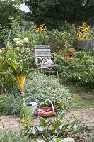 Seating in the late summer organic garden