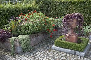 Raised bed garden with summer flowers