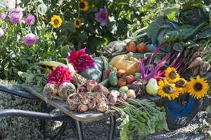 Der Herbst in seiner ganzen Fülle