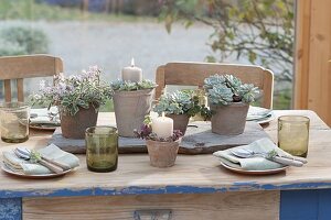 Table decoration with succulents in the conservatory